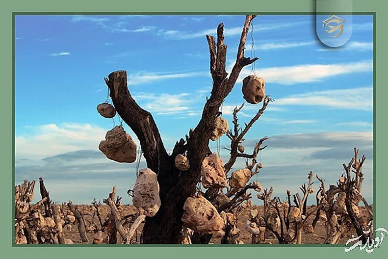 راز‌هایی از مخوف‌ترین مکان‌های ایران که سفر به آن‌ها دل و جرات می‌خواهد؛ از جهنم دره تا تالاب مرموز ارواح + تصاویر